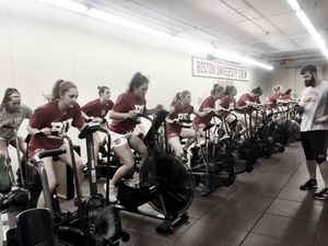 Image post by @terrierfh on Instagram