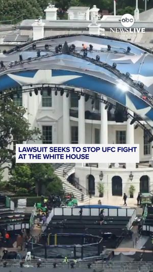 Video post by @abcnewslive on TikTok