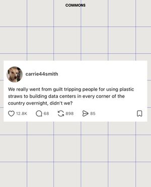 Image post by @commonsearth on Instagram