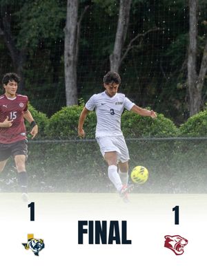 Image post by @goetbutigers on Instagram