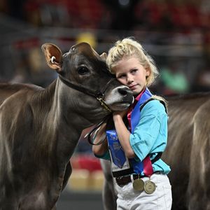 Image post by @wdexpo on Instagram