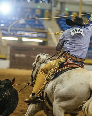 Image post by @nationalwestern on Instagram