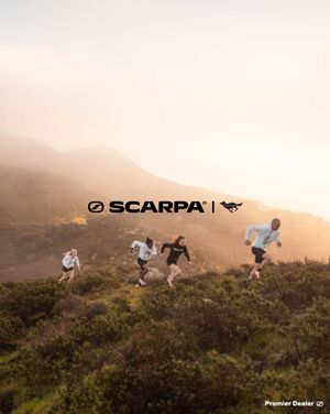 Image post by @scarpana on Instagram