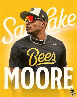 Image post by @saltlakebees on Instagram