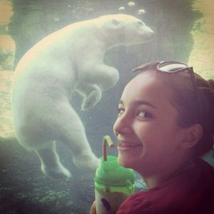 Image post by @sandiegozoo on Instagram