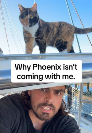 Video post by @sailing_with_phoenix on TikTok