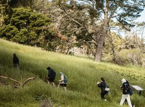 Image post by @sfsu_campusrec on Instagram