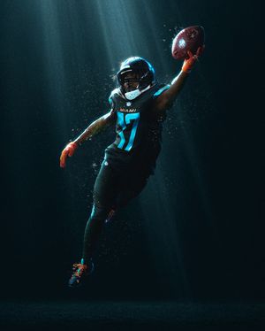 Image post by @miamidolphins on Instagram