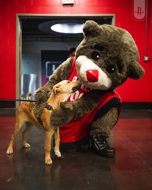 Image post by @rocketsmascotclutch on Instagram