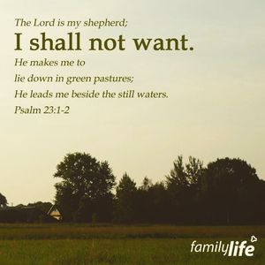 Image post by @familylifenypa on Instagram