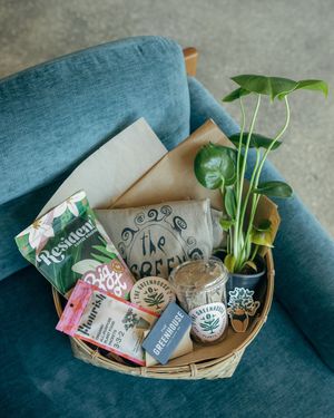 Image post by @thegreenhousejax on Instagram