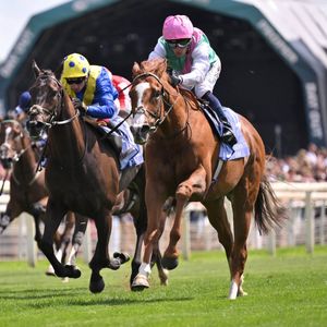 Image post by @juddmonte on Instagram