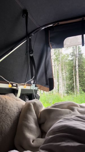 Video post by @filmbychloeg on TikTok