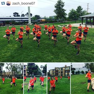 Image post by @illinisb on Instagram