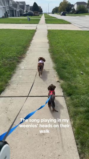 Video post by @kate.cassaidy on TikTok