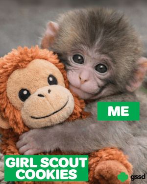 Image post by @sdgirlscouts on Instagram