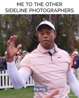 Image post by @ongondola on Instagram