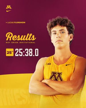 Image post by @GopherCCTF on Twitter