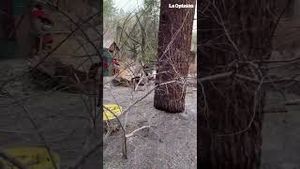 Video post by @laopinionla on YouTube