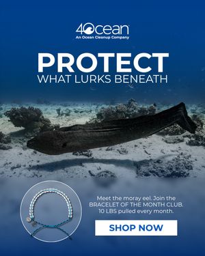 Image post by @4ocean on Instagram