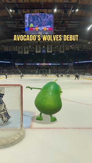 Video post by @chiwolves on TikTok