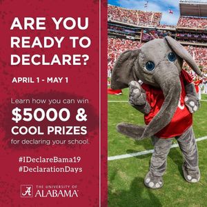 Image post by @ua_admissions on Instagram