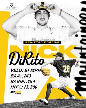 Image post by @appbaseballpdev on Instagram