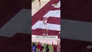 Video post by @cfbonfox on YouTube