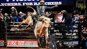 Video post by @pbr on YouTube
