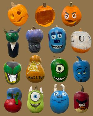 Image post by @canisiushs on Instagram