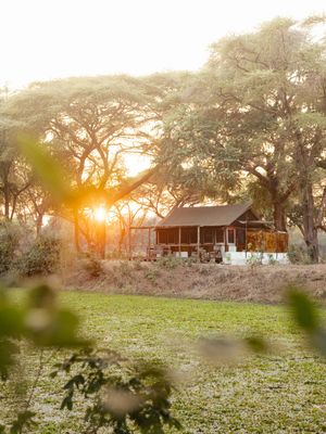 Image post by @chiawasafaris on Instagram