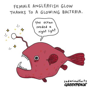 Image post by @greenpeace on Instagram