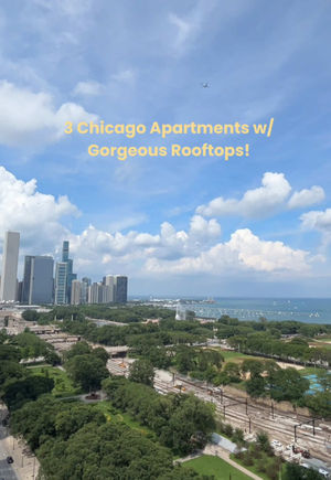 Video post by @smartcitychicago on TikTok