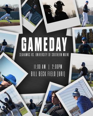 Image post by @salve_baseball on Instagram