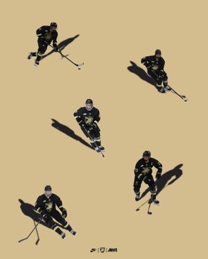 Image post by @armywp_hockey on Instagram