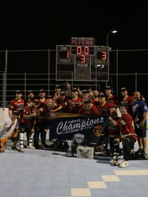 Image post by @nationalballhockeyleague on Instagram