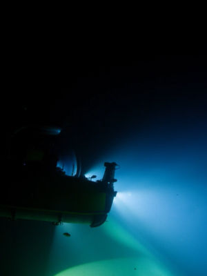 Video post by @natgeotv on TikTok