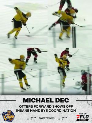 Image post by @flohockey on Instagram