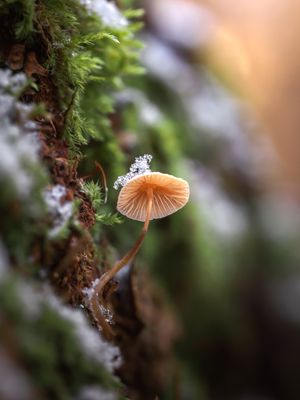 Image post by @natgeo on Instagram