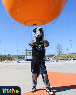 Image post by @petertanteater on Instagram