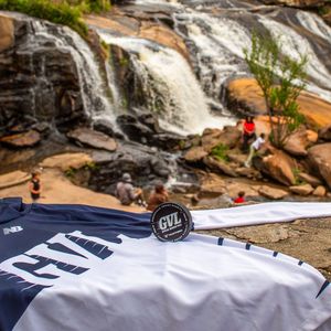 Image post by @SwampRabbits on Twitter