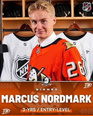 Image post by @puckreportnhl on Instagram