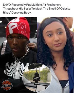 Image post by @nojumper on Instagram