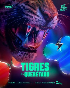 Image post by @clubtigres on Instagram
