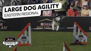 Video post by @nbcsports on YouTube