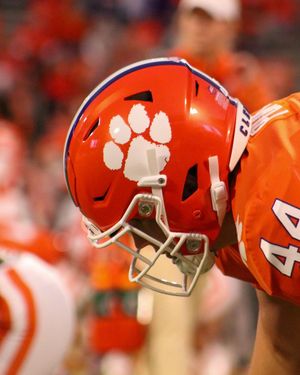 Image post by @cutigervision on Instagram