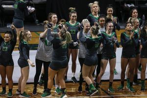 Image post by @oregonacrotumb on Instagram