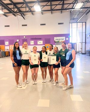 Image post by @csucheerleading on Instagram