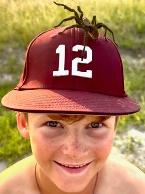 Image post by @twelvebaseball on Instagram