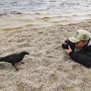 Image post by @robertirwinphotography on Instagram